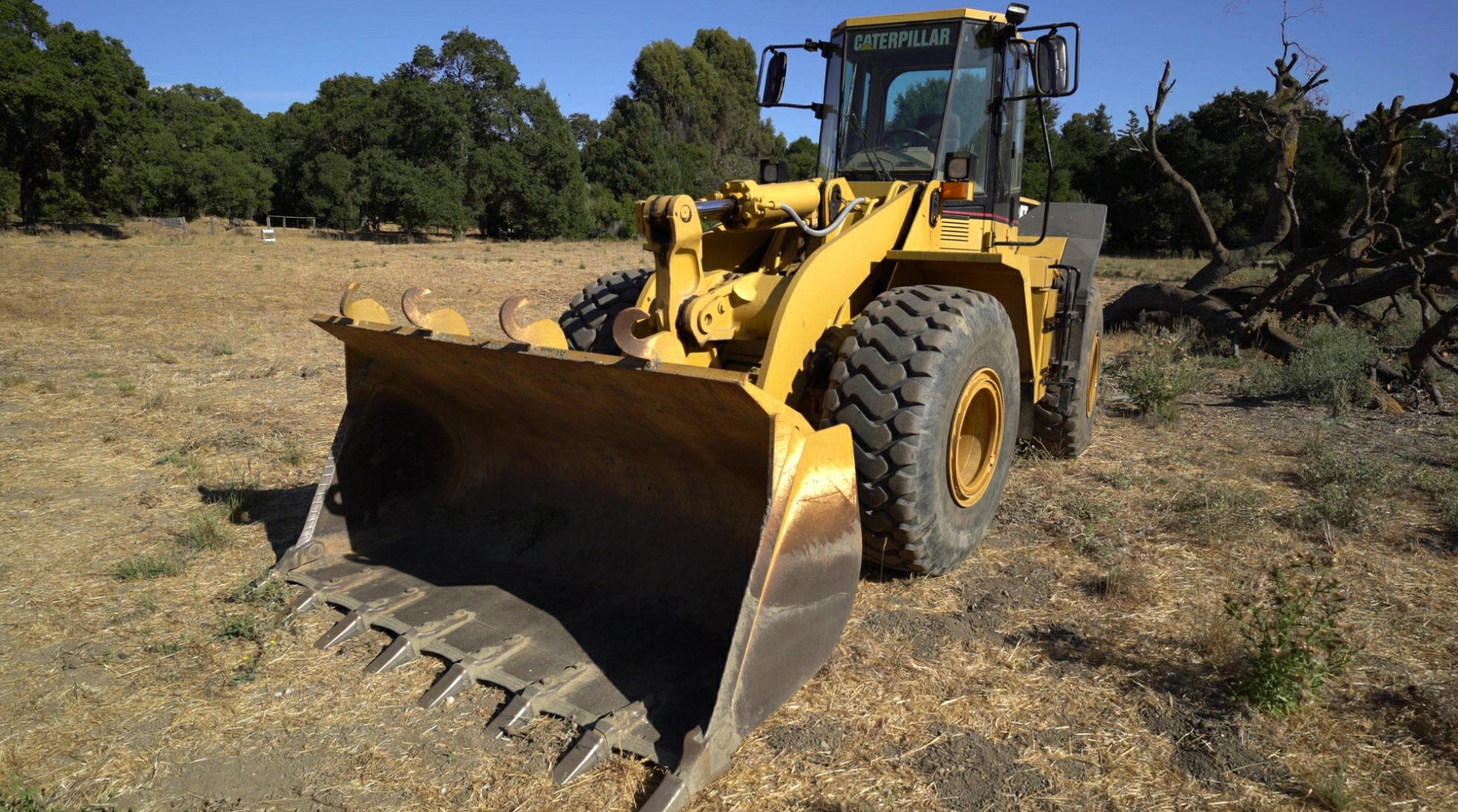 Caterpillar reference photo