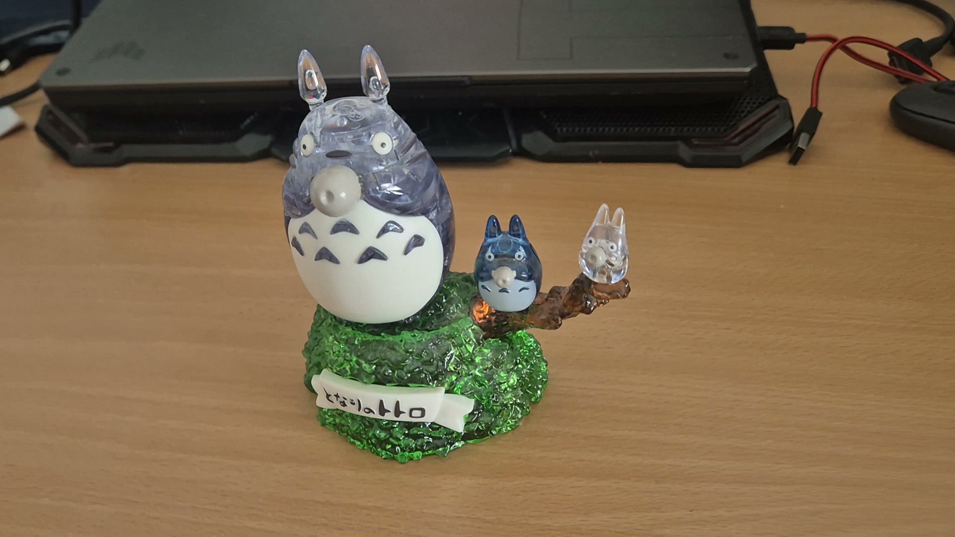 Totoro reference photo
